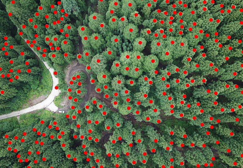ドローンの空撮で森林の３次元データの取得